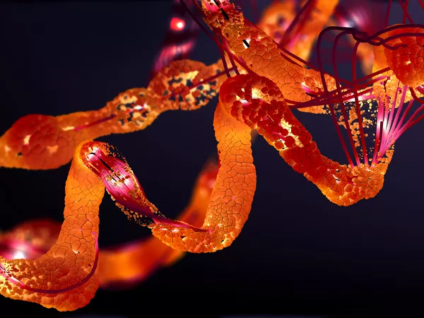 Oncology Research