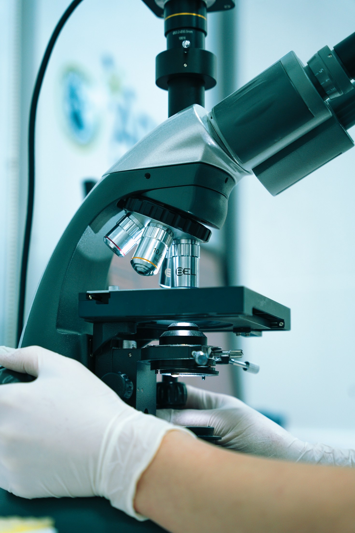 A Look Into the Future of Biomedical Sciences